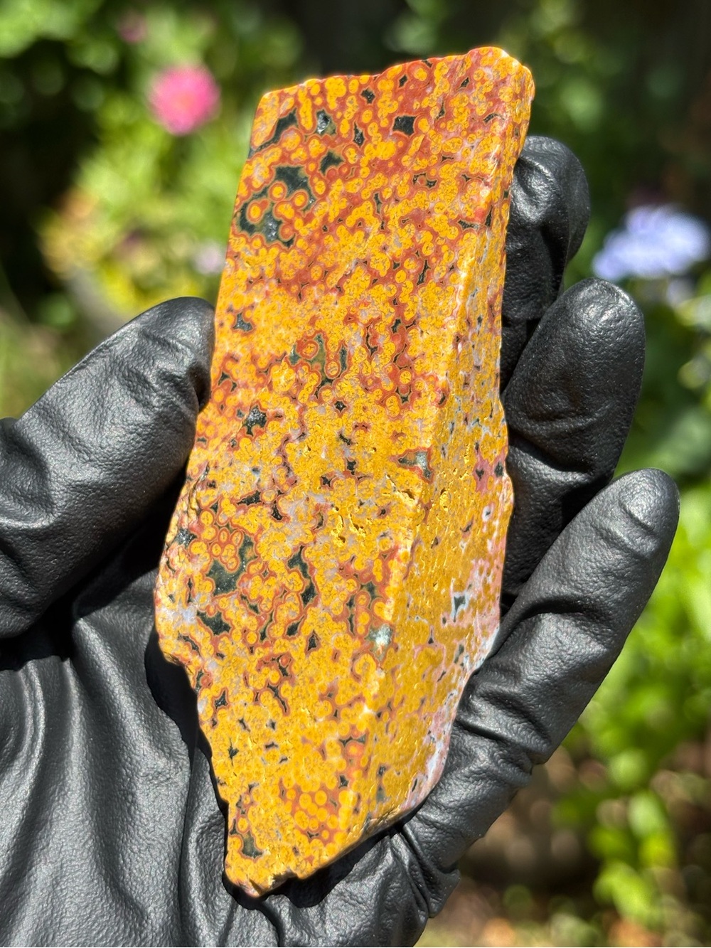 Ocean Jasper Crystal Freeform - Orbicular Jasper - Polished Sea Jasper